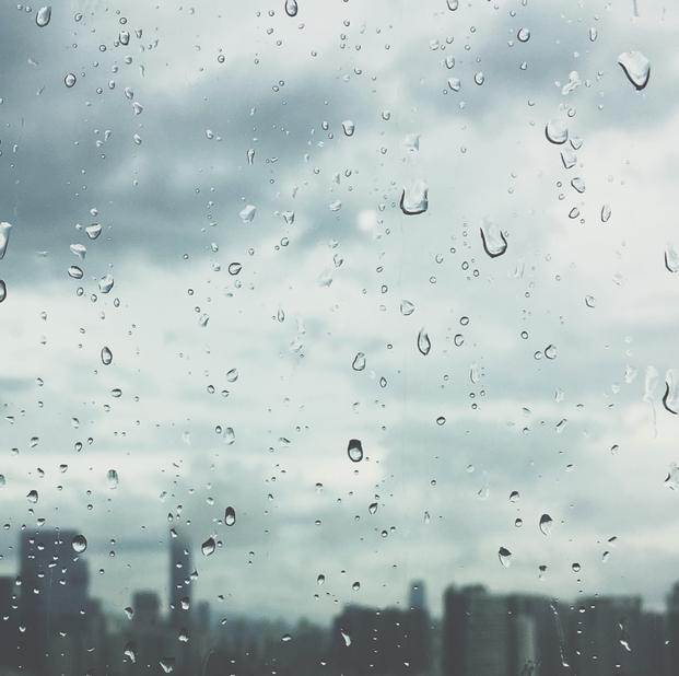 9E69C3EC-00F9-4952-92EF-404F4011E407